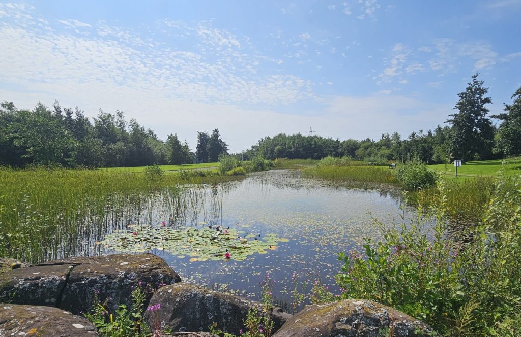 Summer 2025 Newsletter