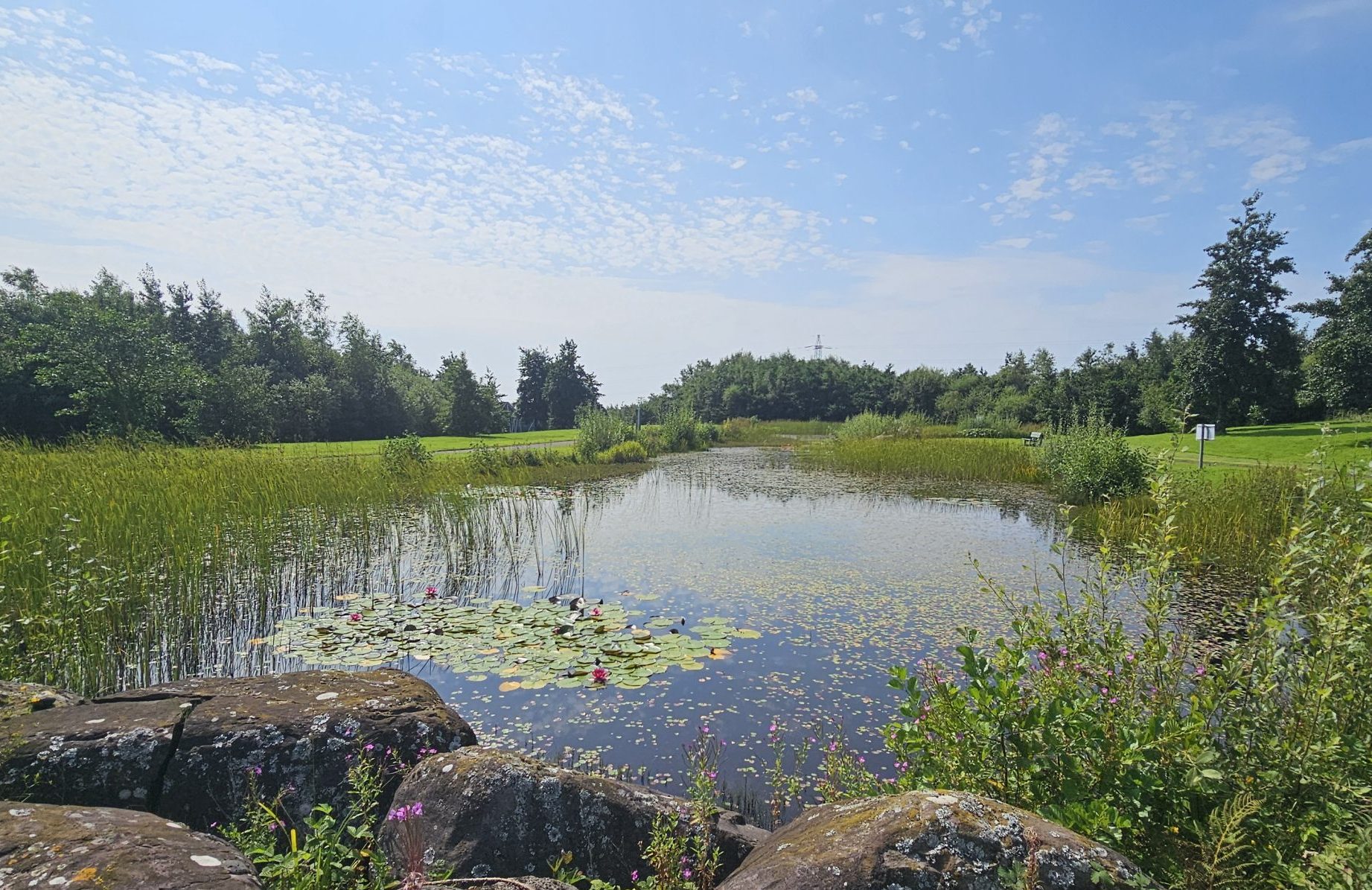 Summer 2025 Newsletter